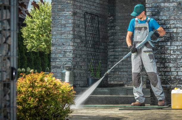 Animal Enclosure Cleaning in Richwood, NJ